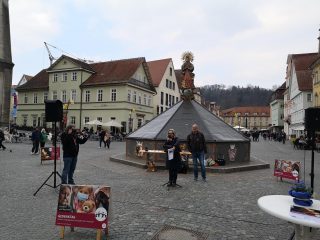 537.jpg